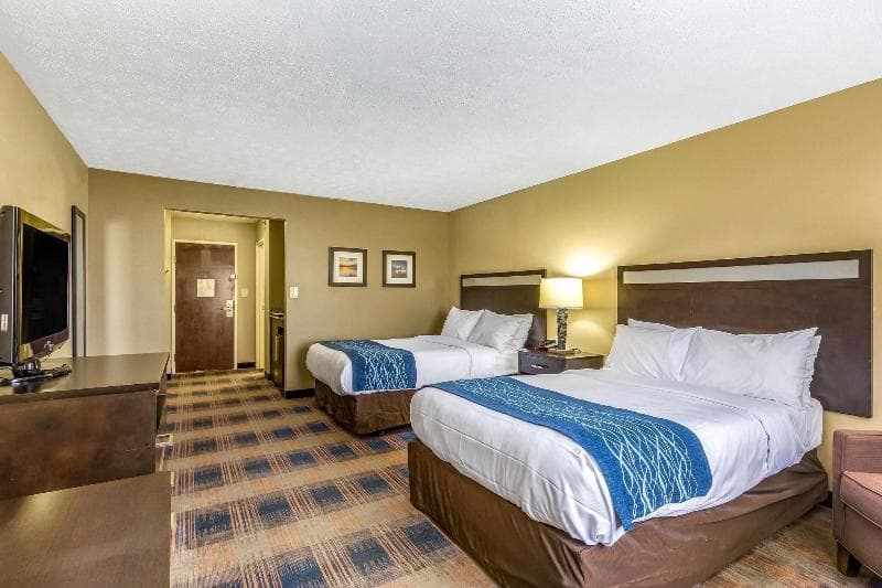 Comfort Inn 5