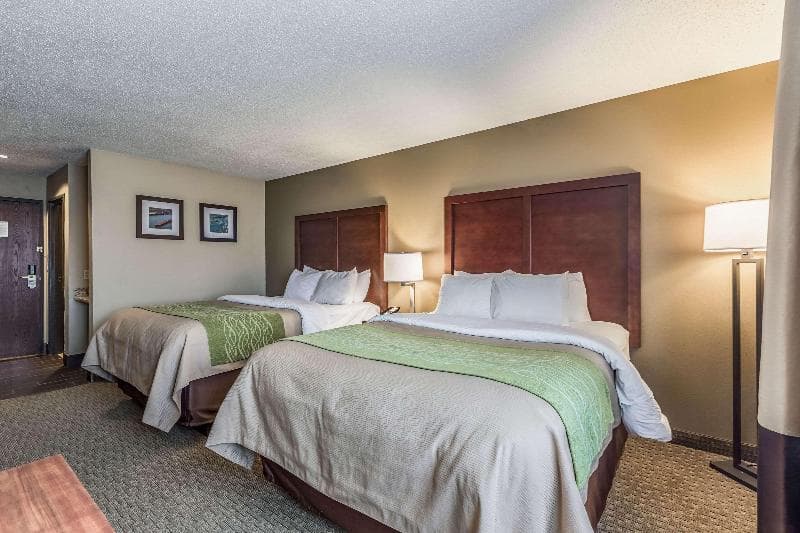Comfort Inn 3