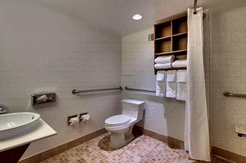 Holiday Inn Express Washington Dc N-Silver Spring 5