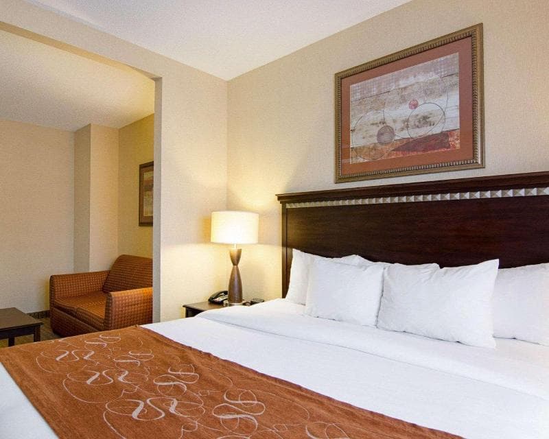 Comfort Suites Conway 3