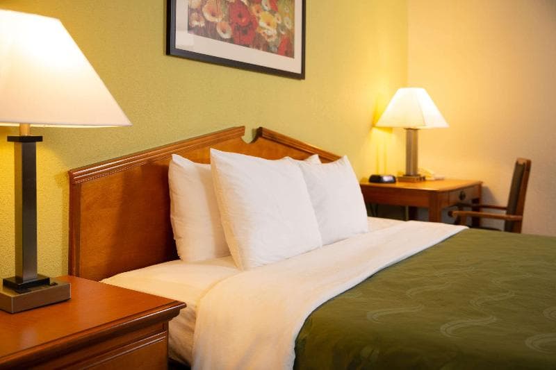 Quality Inn at Arlington Highlands photo 1