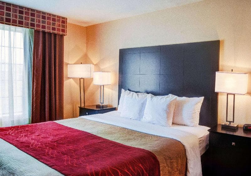Comfort Inn & Suites 2