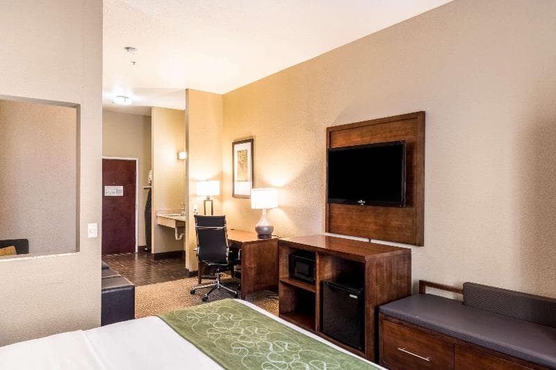 Comfort Suites South 5