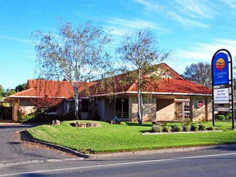 The Henty main