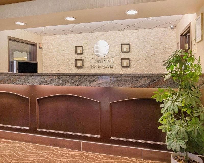 Comfort Inn & Suites University 4