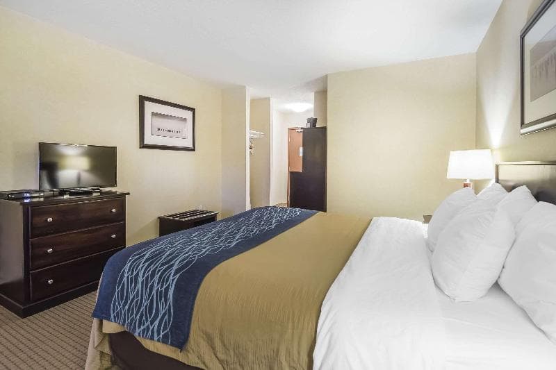 Comfort Inn & Suites 3