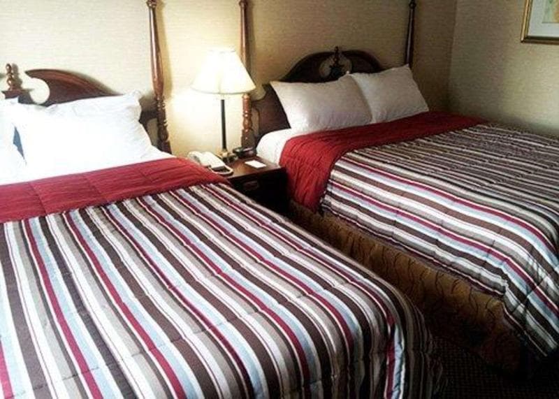 Econo Lodge City Centre Kingston 3