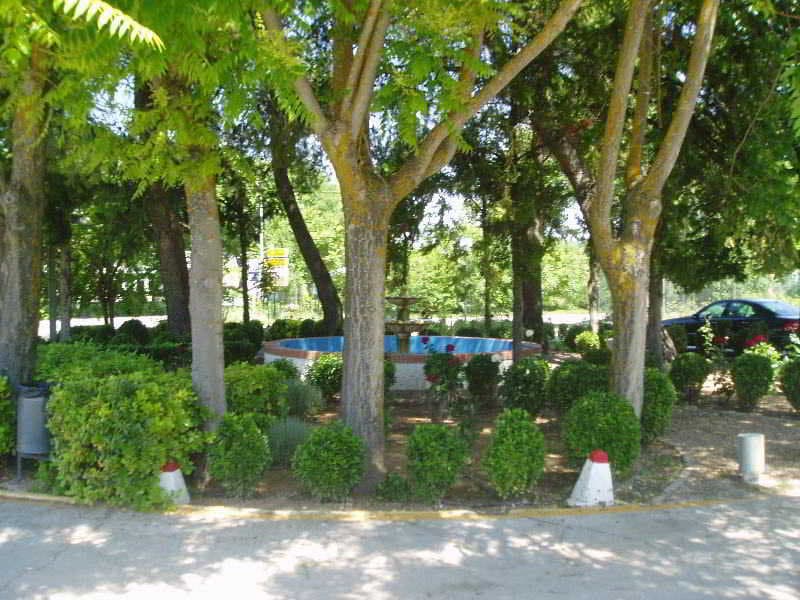 Manzanares 4