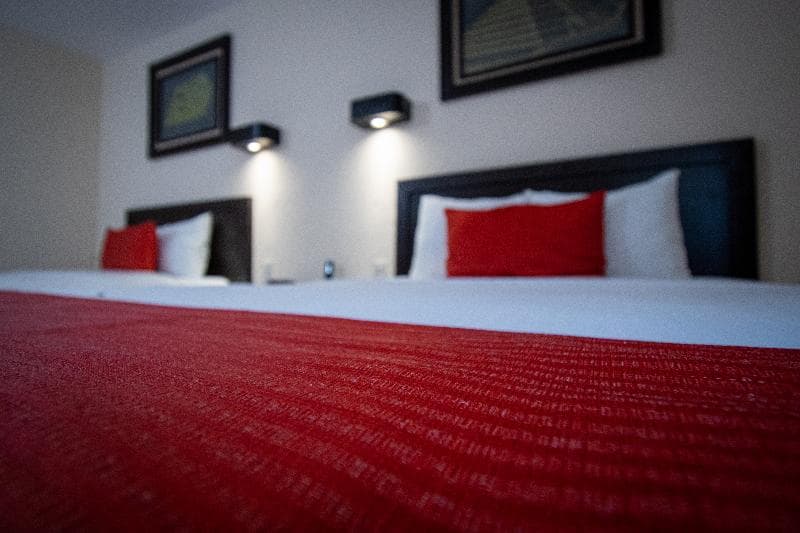 Eco City Hotels 3