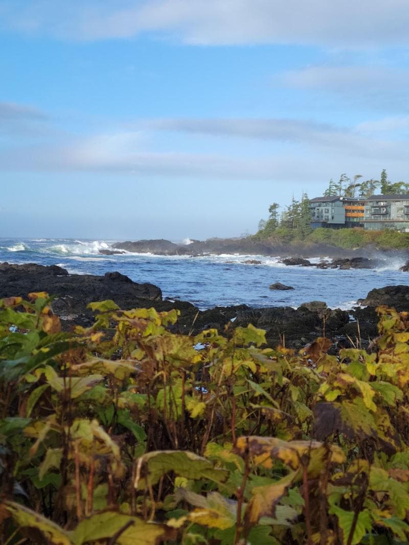 Black Rock Oceanfront Resort 2