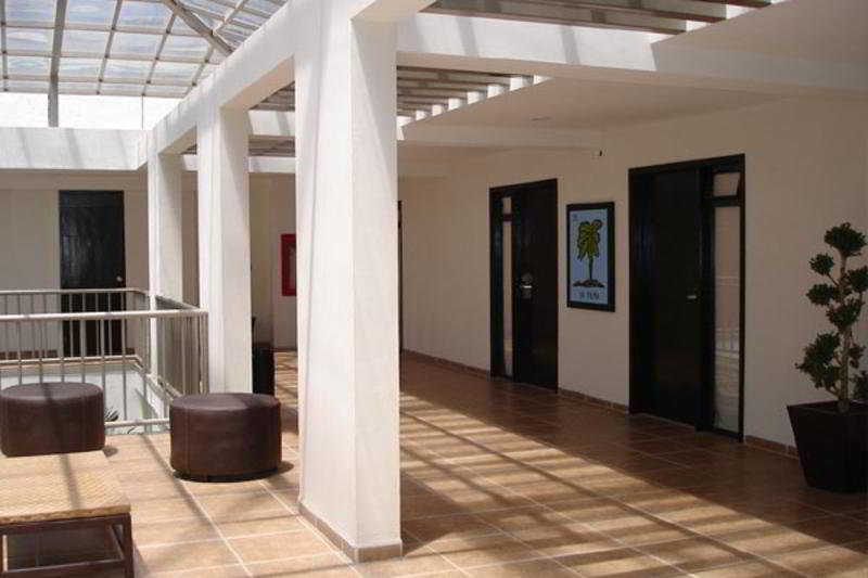 Suites Mexico Inn Salamanca photo 1
