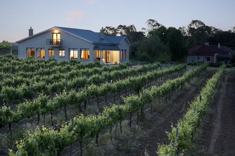 Barossa Shiraz Estate 5