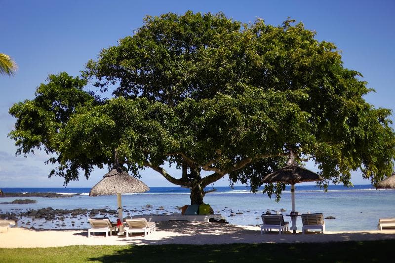 Shanti Maurice Resort & Spa 4
