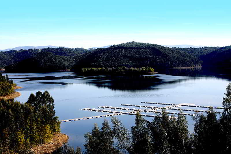 Montebelo Aguieira Lake Resort and Spa 3
