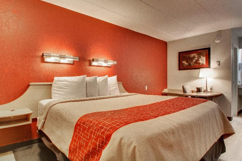 Red Roof Inn St Louis - Westport 5