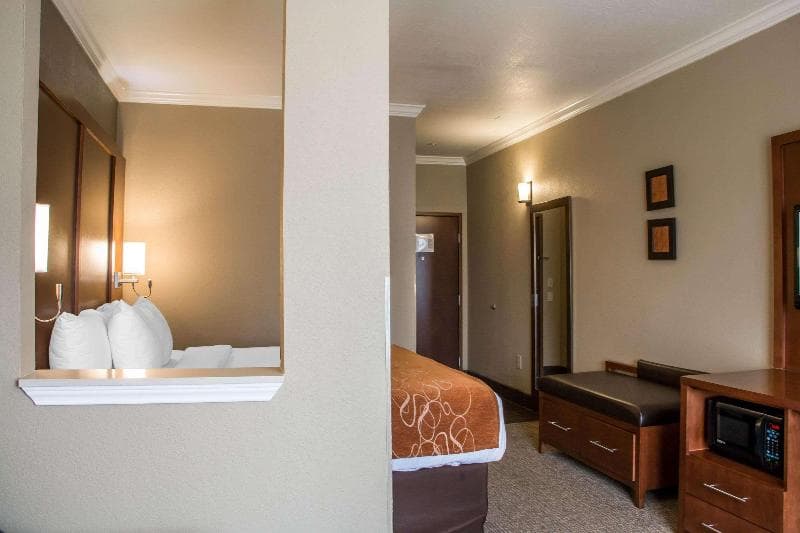 Comfort Suites New Braunfels photo 1