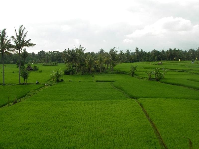 Green Field Hotel & Restaurant 3
