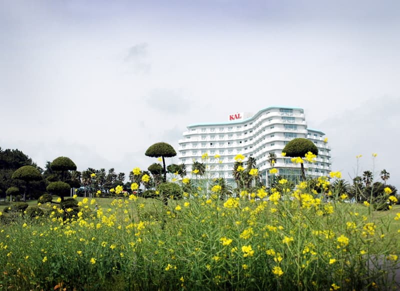 Seogwipo KAL Hotel 3
