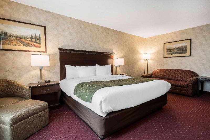 Comfort Inn & Suites 4
