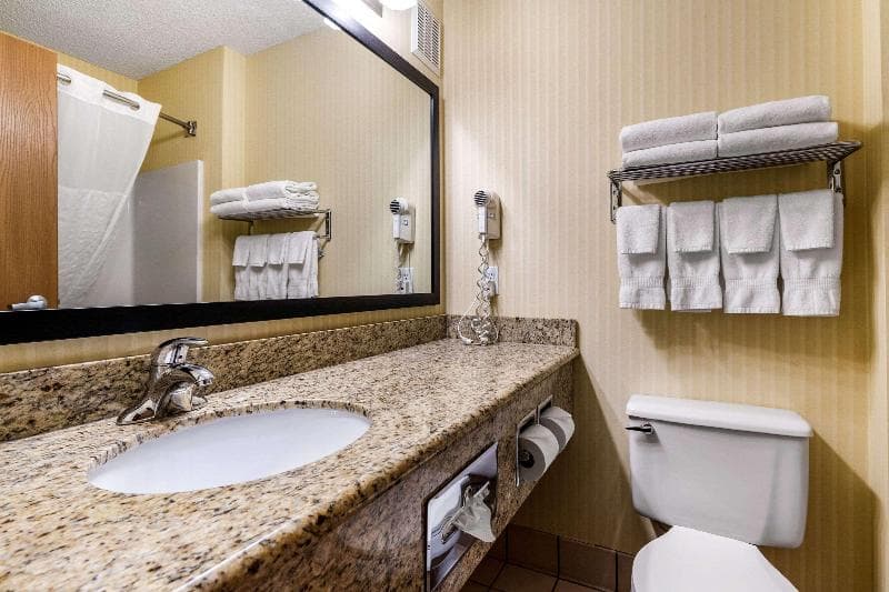 Comfort Inn & Suites Bothell - Seattle North 4