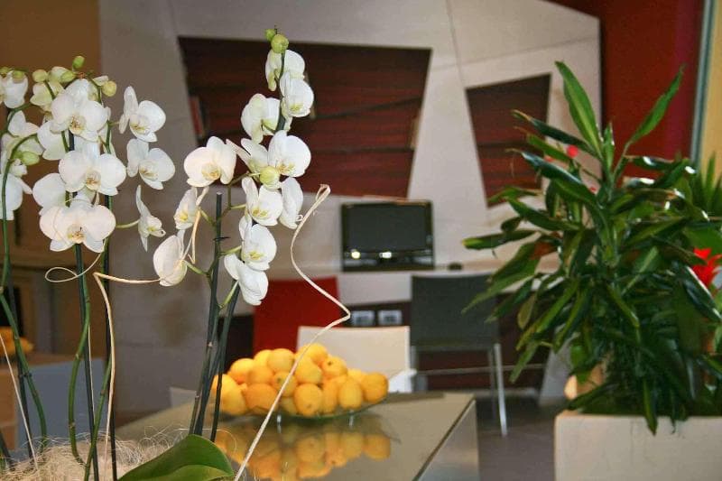 Ibis Styles Catania Acireale 3