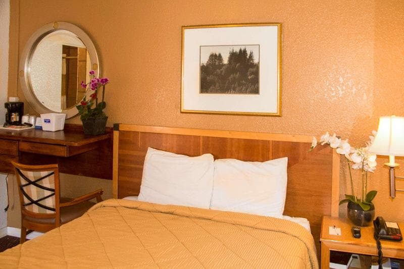 Rodeway Inn Downtown 4
