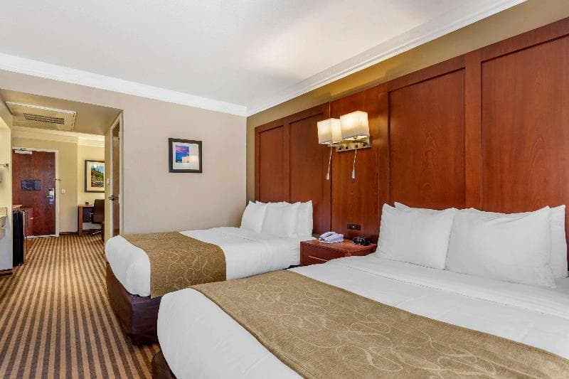 Comfort Suites Visalia Convention Center 4