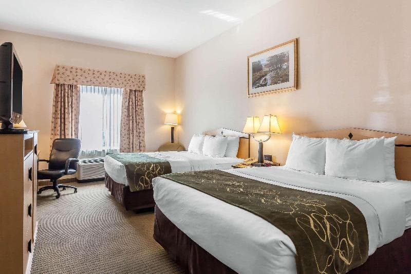Comfort Inn And Suites Airport Convention Center 3