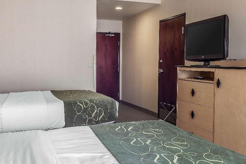 Comfort Inn And Suites Airport Convention Center 4