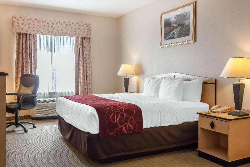 Comfort Inn And Suites Airport Convention Center 5