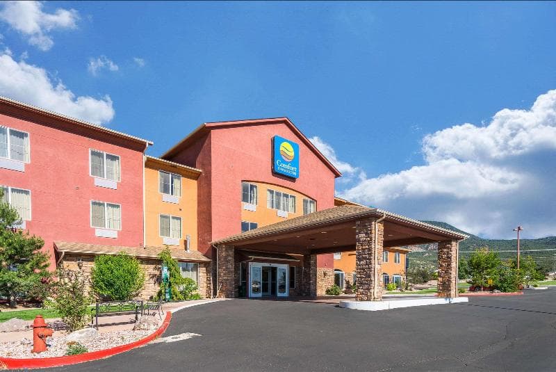 Comfort Inn & Suites 3