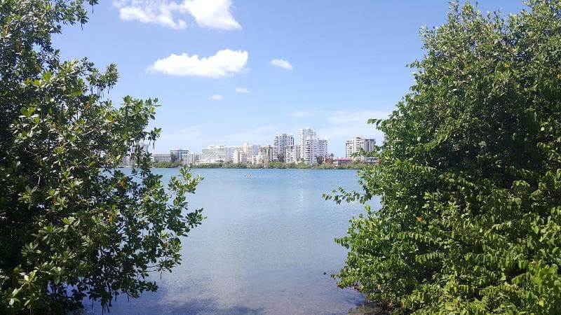 The Wave Hotel at Condado 5