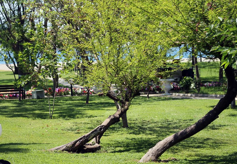Labranda Alantur Resort 5