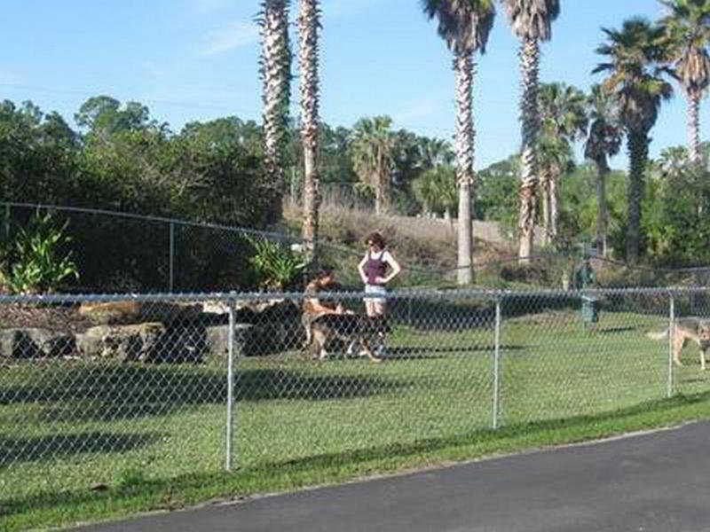 Tropical Palms Resort photo 1