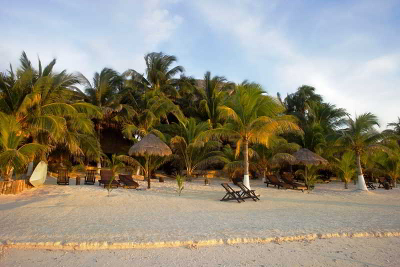 Beachfront Hotel La Palapa - Adults Only 5