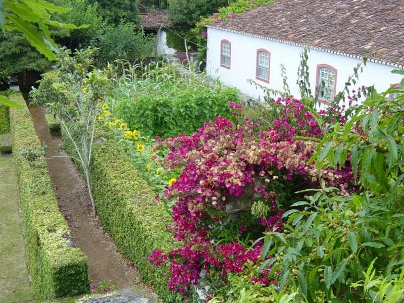 Quinta Do Martelo 4