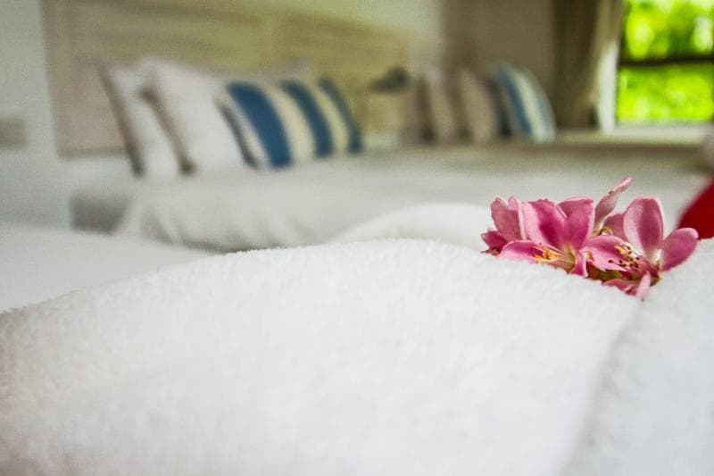 Sandals Guesthouse photo 1