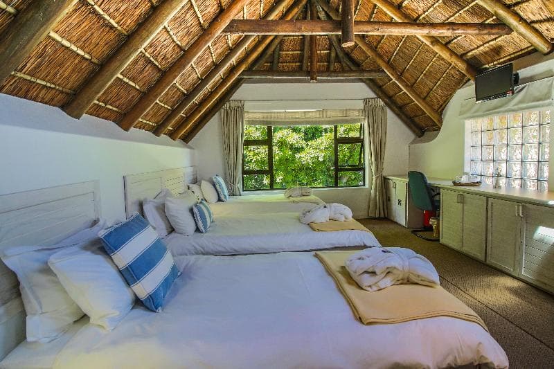 Sandals Guesthouse 2