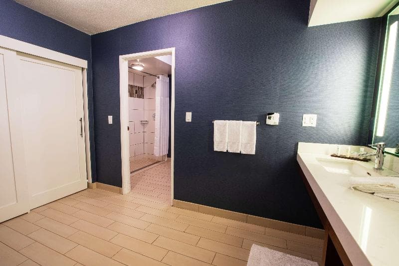 Embassy Suites by Hilton Scottsdale Resort 5
