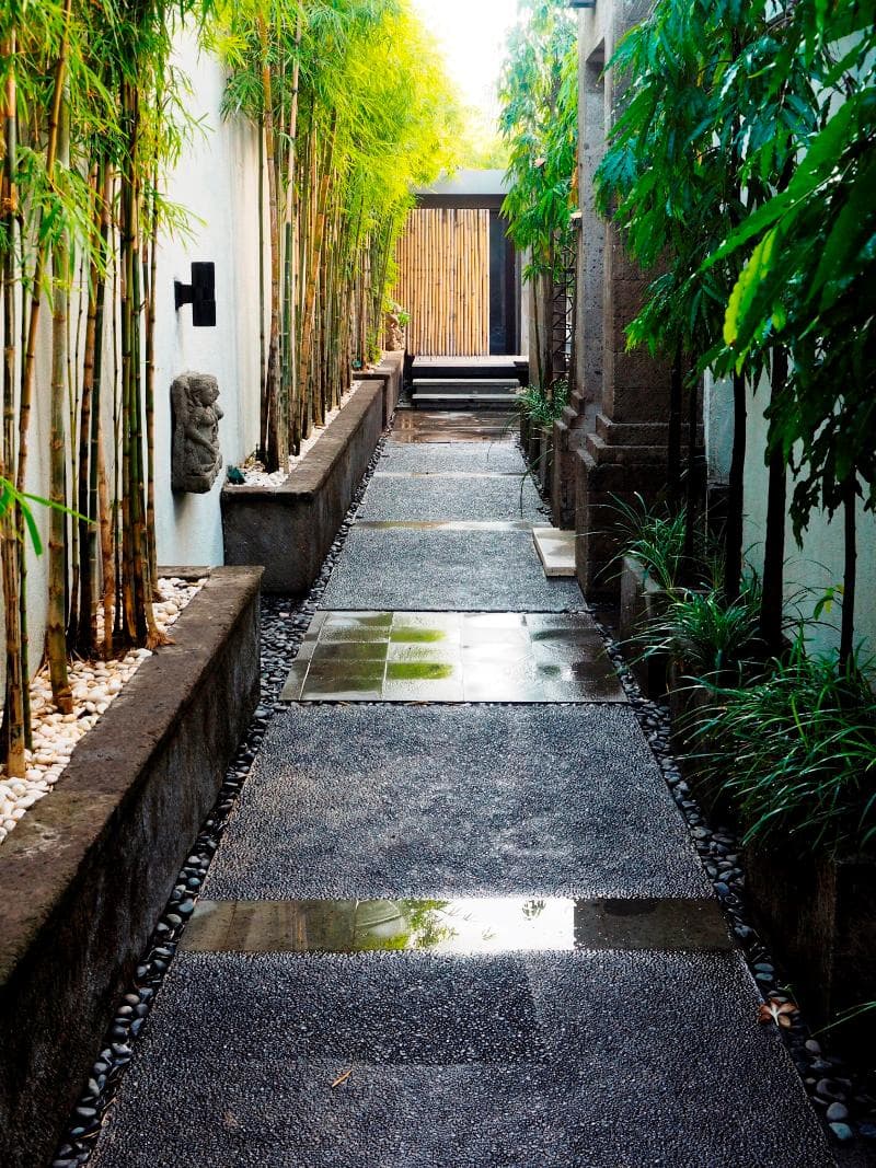 The Amala 5