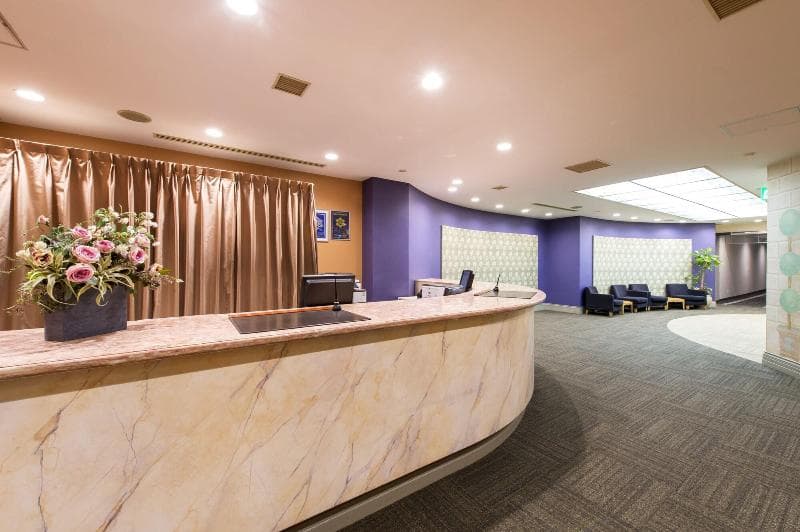 Hotel Villa Fontaine Tokyo - Nihombashi Mitsukoshimae 5