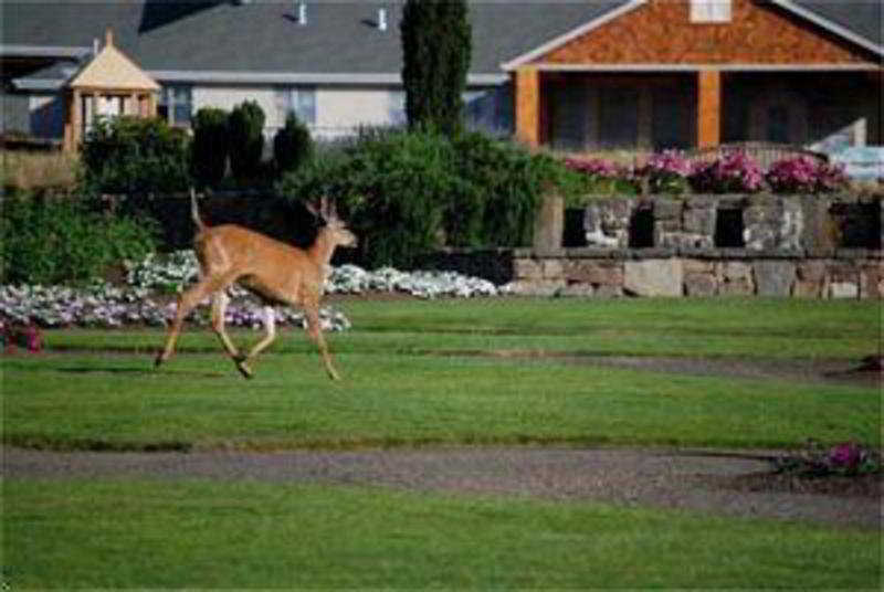 Oregon Garden Resort photo 1