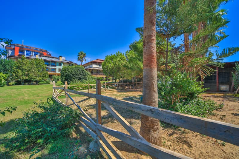 Lonicera Resort & Spa photo 1