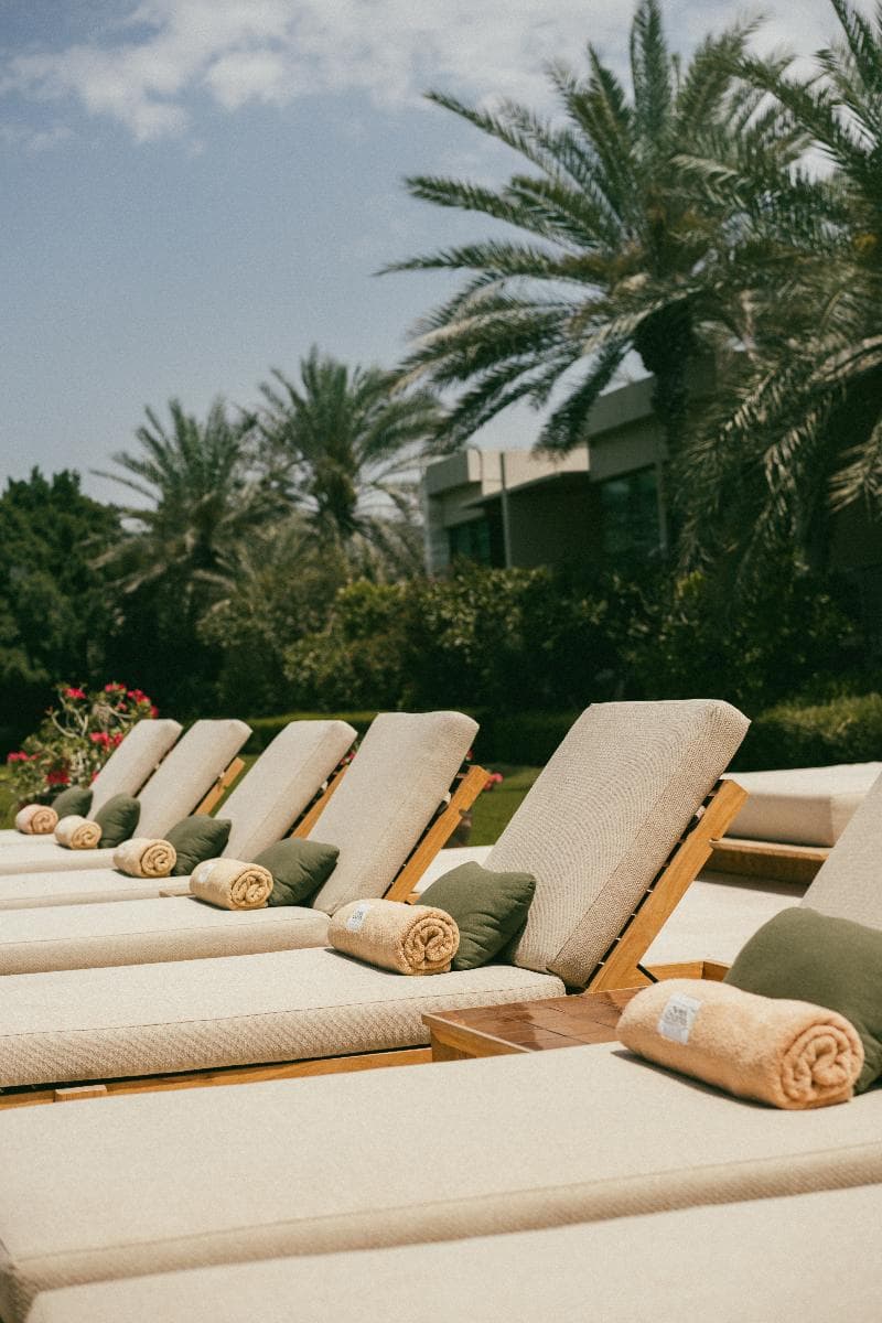Melia Desert Palm Member Of Melia Collection 5