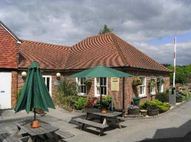 Three Swans main