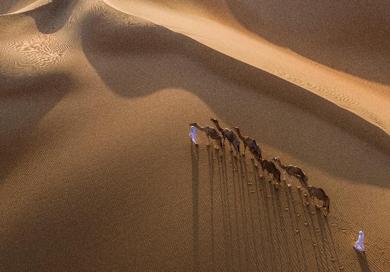 Anantara Qasr Al Sarab Resort & Spa 5