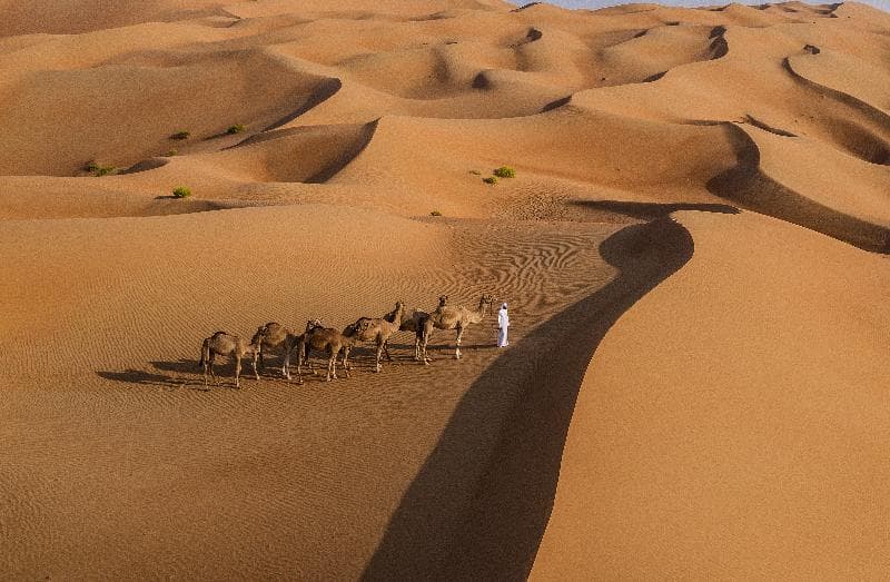 Anantara Qasr Al Sarab Resort & Spa 3