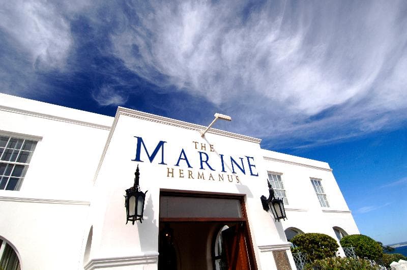 The Marine main