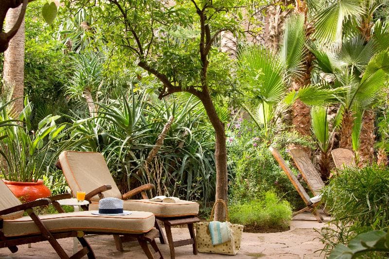 Les Jardins de la Medina photo 1