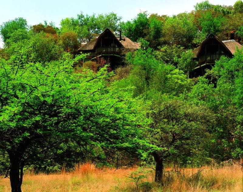 Tshukudu Bush Lodge (Adults only) photo 1